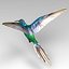 3D hummingbird kolibri animal