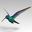 3D hummingbird kolibri animal