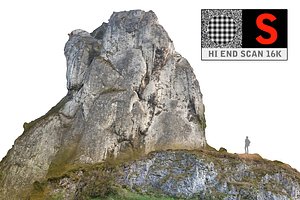 Hill forest autumn 16K