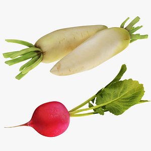 3D model radish red white
