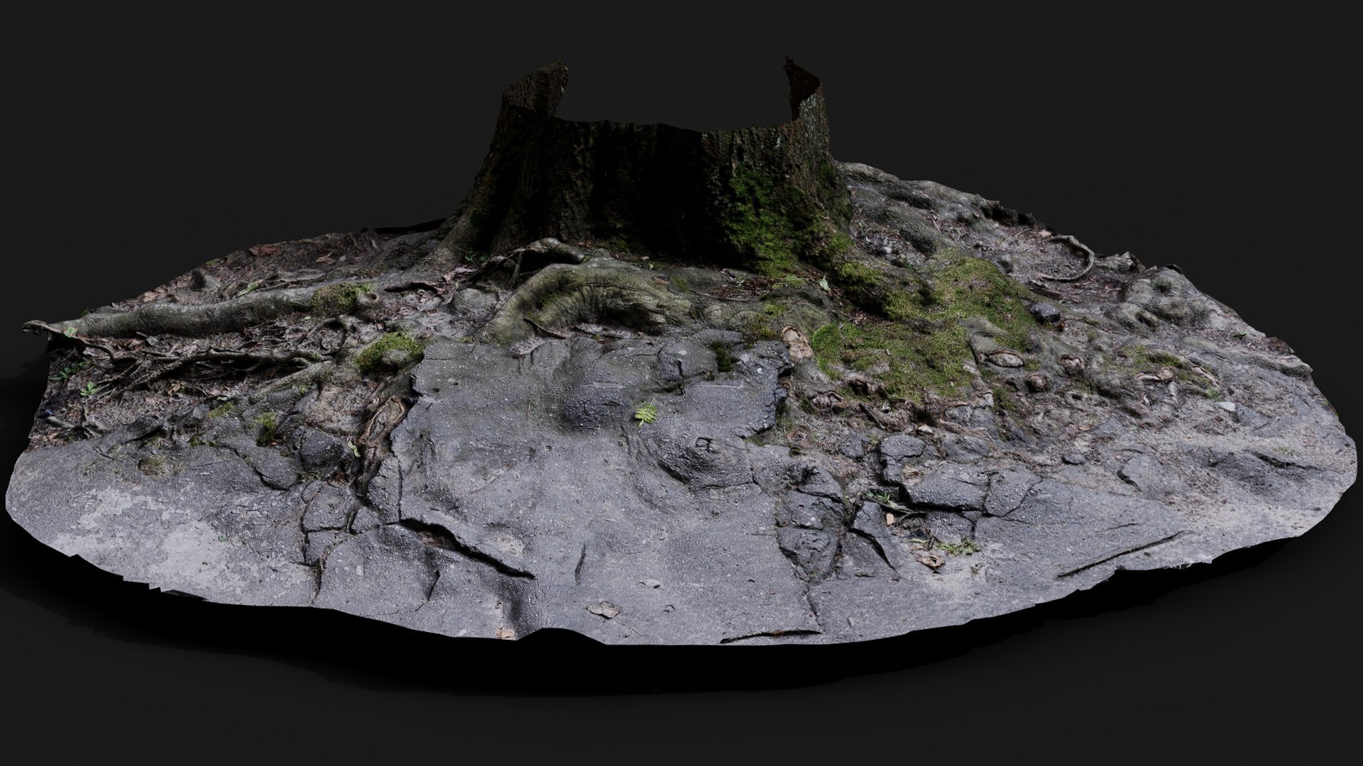 tree roots damaged road asphalt part2 photogrammetry model https://p.turbosquid.com/ts-thumb/hB/g9MYDq/Dk/preview2/jpg/1736691228/1920x1080/fit_q87/03d6c0cacfed054e950accd3f8403199ebdf56be/preview2.jpg