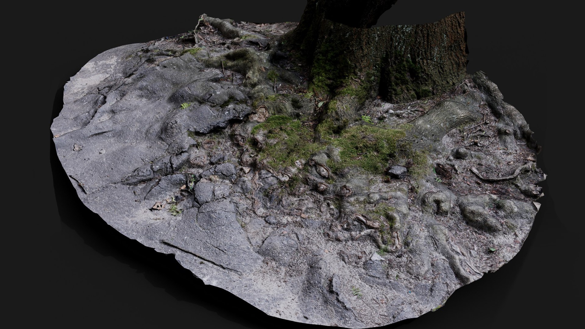 tree roots damaged road asphalt part2 photogrammetry model https://p.turbosquid.com/ts-thumb/hB/g9MYDq/Yh/preview3/jpg/1736691226/1920x1080/fit_q87/5c916d4dd6c13d785cb183a941200ce12b8115d0/preview3.jpg