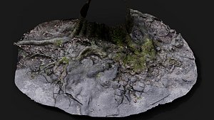 tree roots damaged road asphalt part2 photogrammetry model