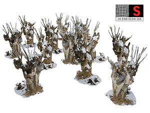 spooky winter forest 3D model