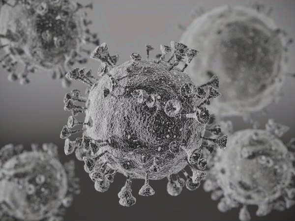 Coronavirus virus 3D model - TurboSquid 1506439