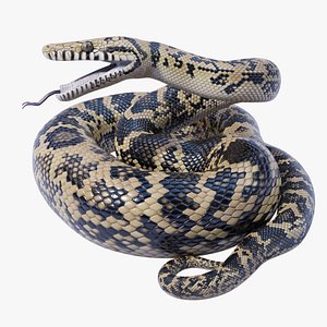 Animated Eastern Brown Snake 3D model - TurboSquid 1950264