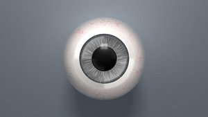 Eyeball - Grey