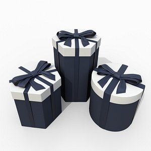 Gift Boxes - Round and Hexagon Trio with Tied Ribbon Bow 3D model