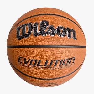 Wilson Evolution Basketball Ball