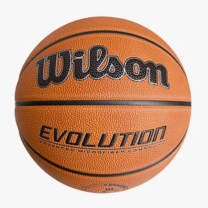 Wilson Evolution Basketball Ball