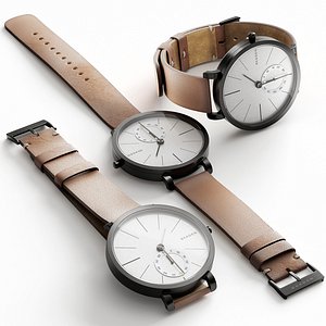 Watch Skagen SKW6216