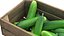 Cucumber Wooden Crate