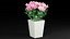 Jarrón decorativo para rosas