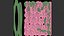 Jarrón decorativo para rosas