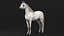 3D model Arabian Horse White Fur Rigged