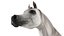 3D model Arabian Horse White Fur Rigged