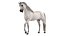 3D model Arabian Horse White Fur Rigged