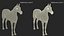 3D model Arabian Horse White Fur Rigged