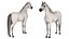 3D model Arabian Horse White Fur Rigged