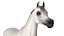 3D model Arabian Horse White Fur Rigged