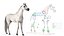 3D model Arabian Horse White Fur Rigged