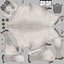 3D model Arabian Horse White Fur Rigged