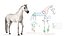 3D model Arabian Horse White Fur Rigged