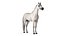 3D model Arabian Horse White Fur Rigged