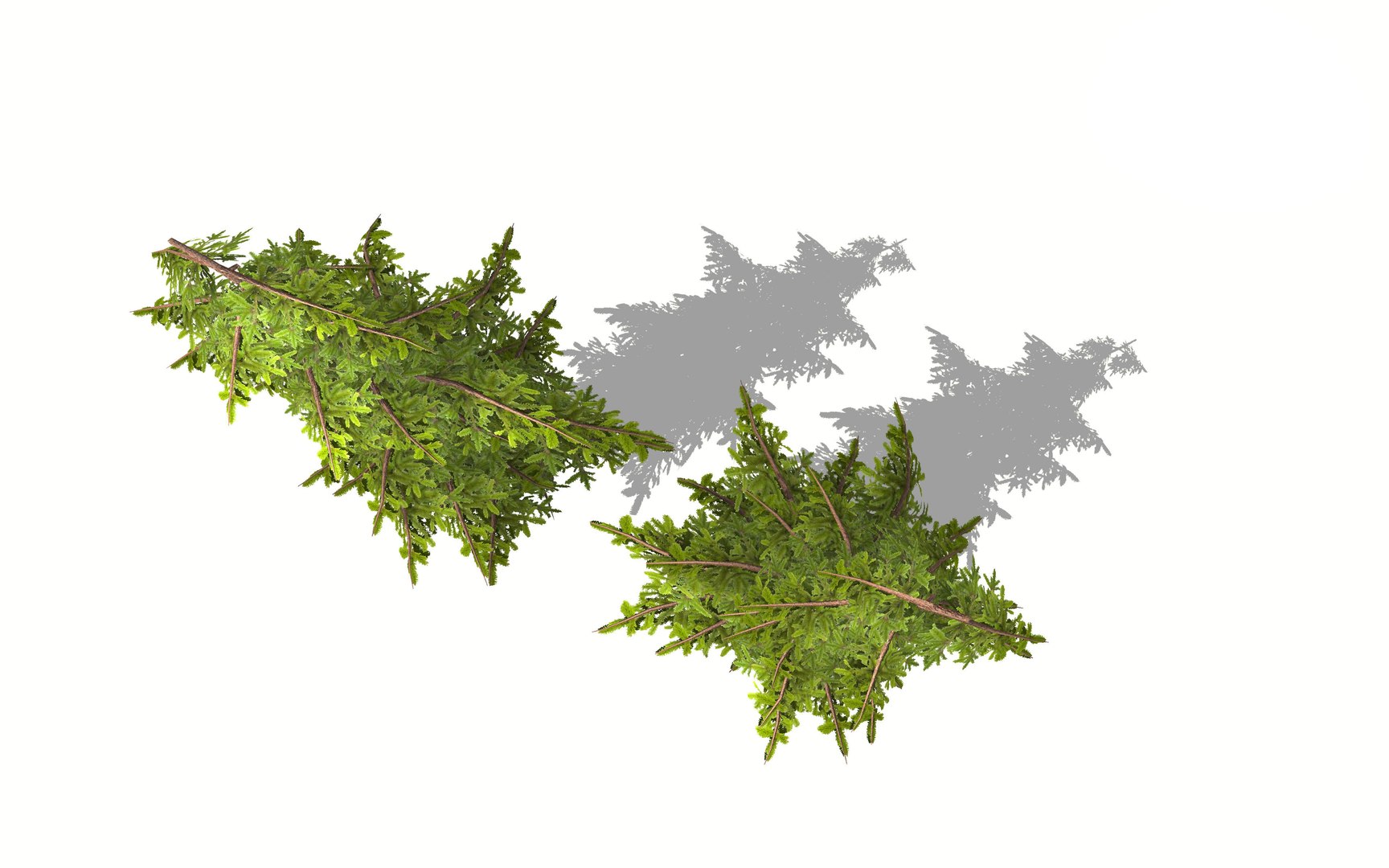 pine tree 3D https://p.turbosquid.com/ts-thumb/hC/I3HTkP/EvVzU2Cy/tree_view4_world3d/jpg/1582896752/1920x1080/fit_q87/91b73db0fc36b2d296652bdca857f1fdeb73e4ad/tree_view4_world3d.jpg