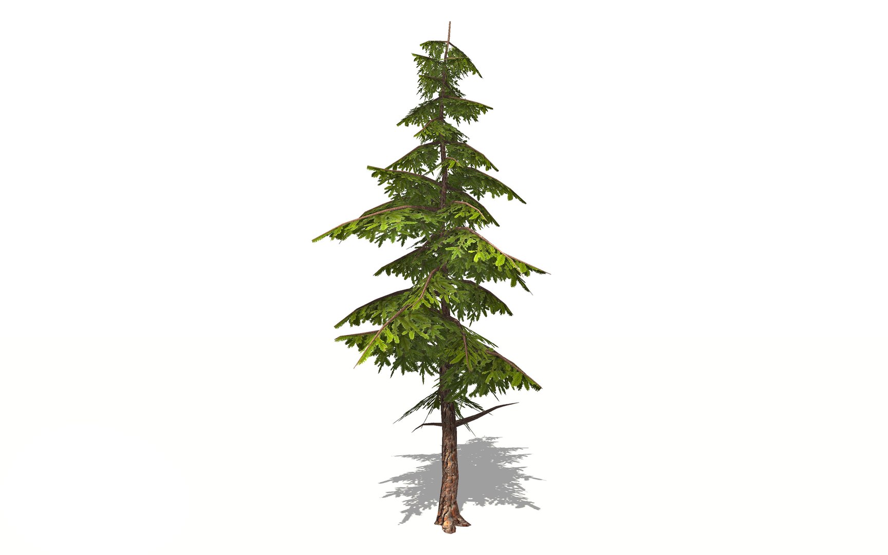 pine tree 3D https://p.turbosquid.com/ts-thumb/hC/I3HTkP/I8FRes26/tree_view1_world3d/jpg/1582896752/1920x1080/fit_q87/0e18adac3b0b0f260e8e5e5794eb0137a32b18d3/tree_view1_world3d.jpg
