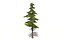 Lowpoly pine tree