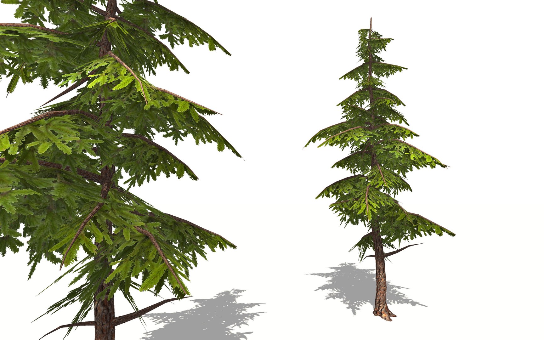 pine tree 3D https://p.turbosquid.com/ts-thumb/hC/I3HTkP/VaQZxQL1/tree_view2_world3d/jpg/1582896752/1920x1080/fit_q87/4ae6073d46f72a6f7275ac4379deaad7df8da7ae/tree_view2_world3d.jpg