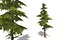 Lowpoly pine tree