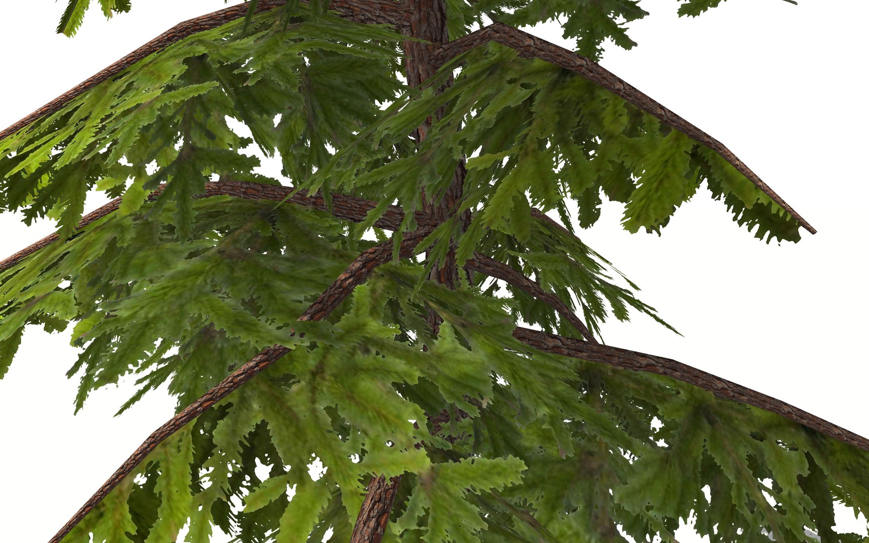 pine tree 3D https://p.turbosquid.com/ts-thumb/hC/I3HTkP/ewpzHRai/tree_view6_world3d/jpg/1582896753/1920x1080/fit_q87/4bc7d2806aedeb261dca1f0d68440841e4c0e27e/tree_view6_world3d.jpg