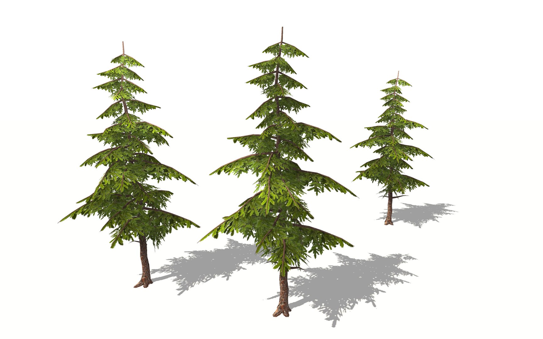 pine tree 3D https://p.turbosquid.com/ts-thumb/hC/I3HTkP/sJxoijbt/tree_view5_world3d/jpg/1582896752/1920x1080/fit_q87/12ab86e12c10ae9f3cddaaeb0d777fe6a9c03085/tree_view5_world3d.jpg