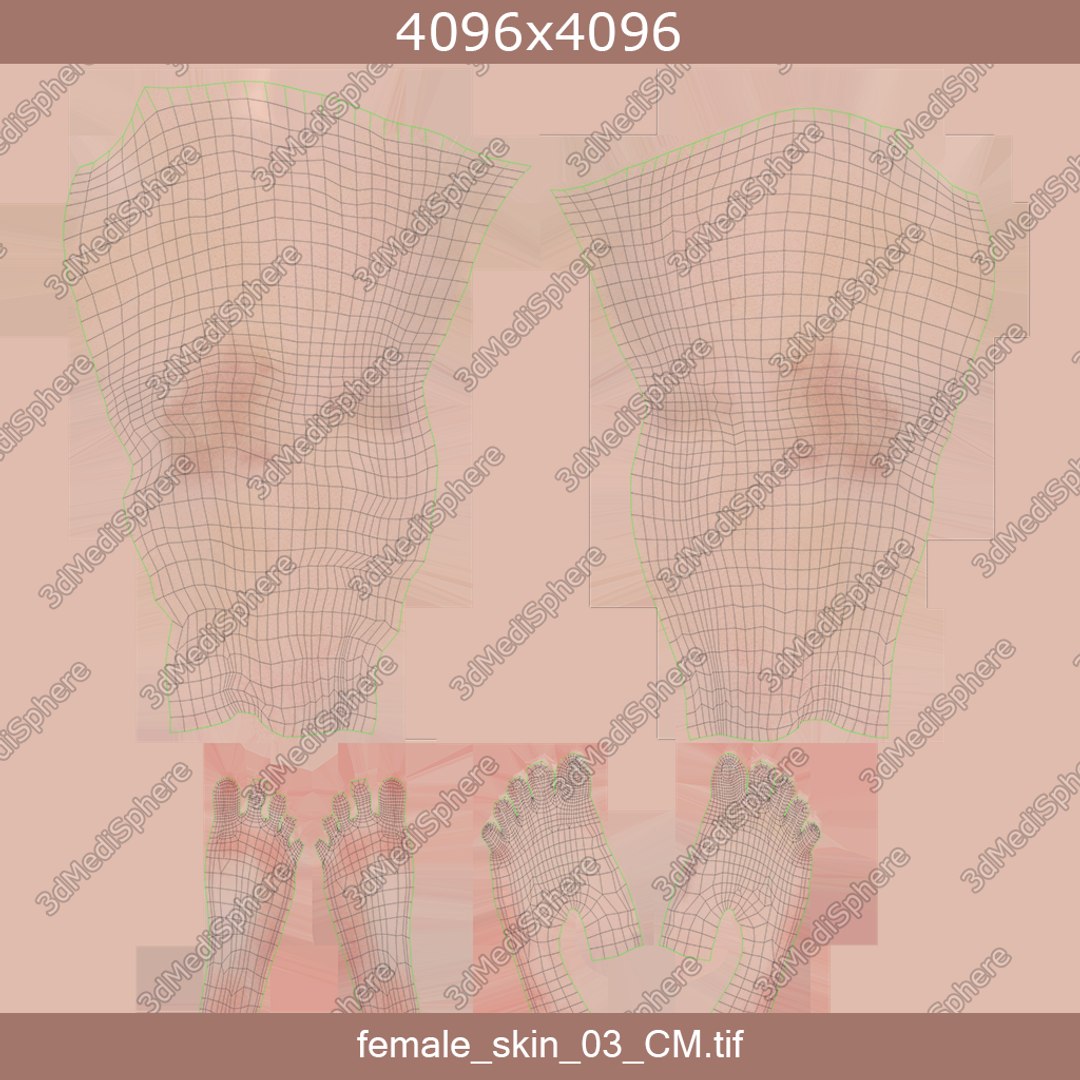 3D male female anatomy set model https://p.turbosquid.com/ts-thumb/hC/ImnF61/5CS0s14T/new_female_skin_03_unwrap/png/1595334508/1920x1080/fit_q87/fdd4aad509d22184cb4cf6387881b14be83c8848/new_female_skin_03_unwrap.jpg