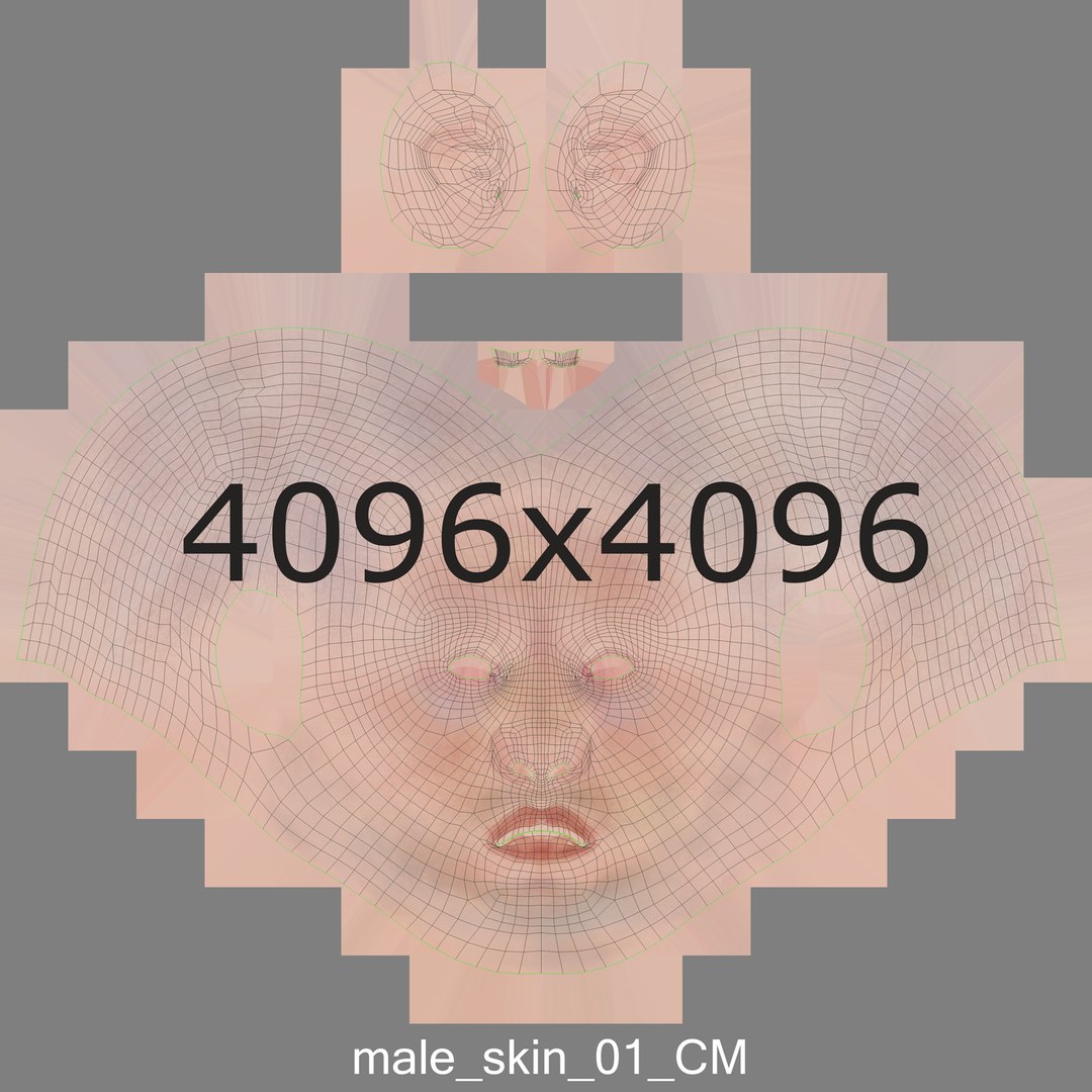 3D male female anatomy set model https://p.turbosquid.com/ts-thumb/hC/ImnF61/zyxZROUn/male_skin_01_unwrap/png/1595334475/1920x1080/fit_q87/5fbbb58e0250342e88ba1f5bdc4dd1108f1ed9d8/male_skin_01_unwrap.jpg
