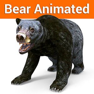 Black Bear animated
