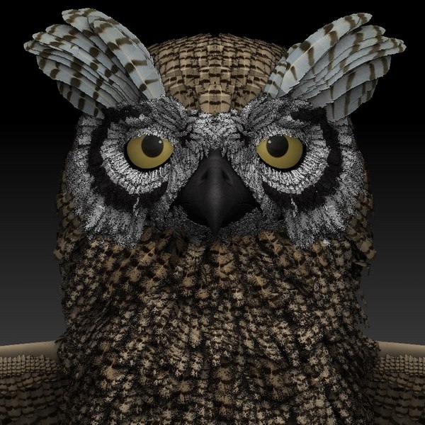 水晶フクロウスカル フクロウスカルプトテクスチャzBrush3Dモデル - TurboSquid 1487134