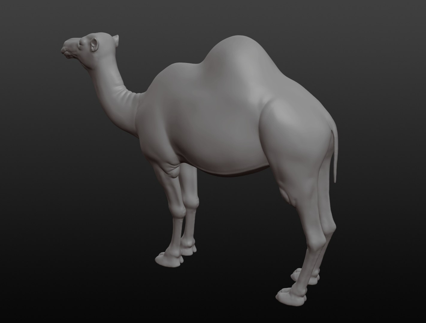 3D camel base mesh model https://p.turbosquid.com/ts-thumb/hC/WJI1mX/2FerdPc2/camel009/jpg/1579403780/1920x1080/fit_q87/17f69950e14336ac2c64cd8eb254db430bb3d4e6/camel009.jpg