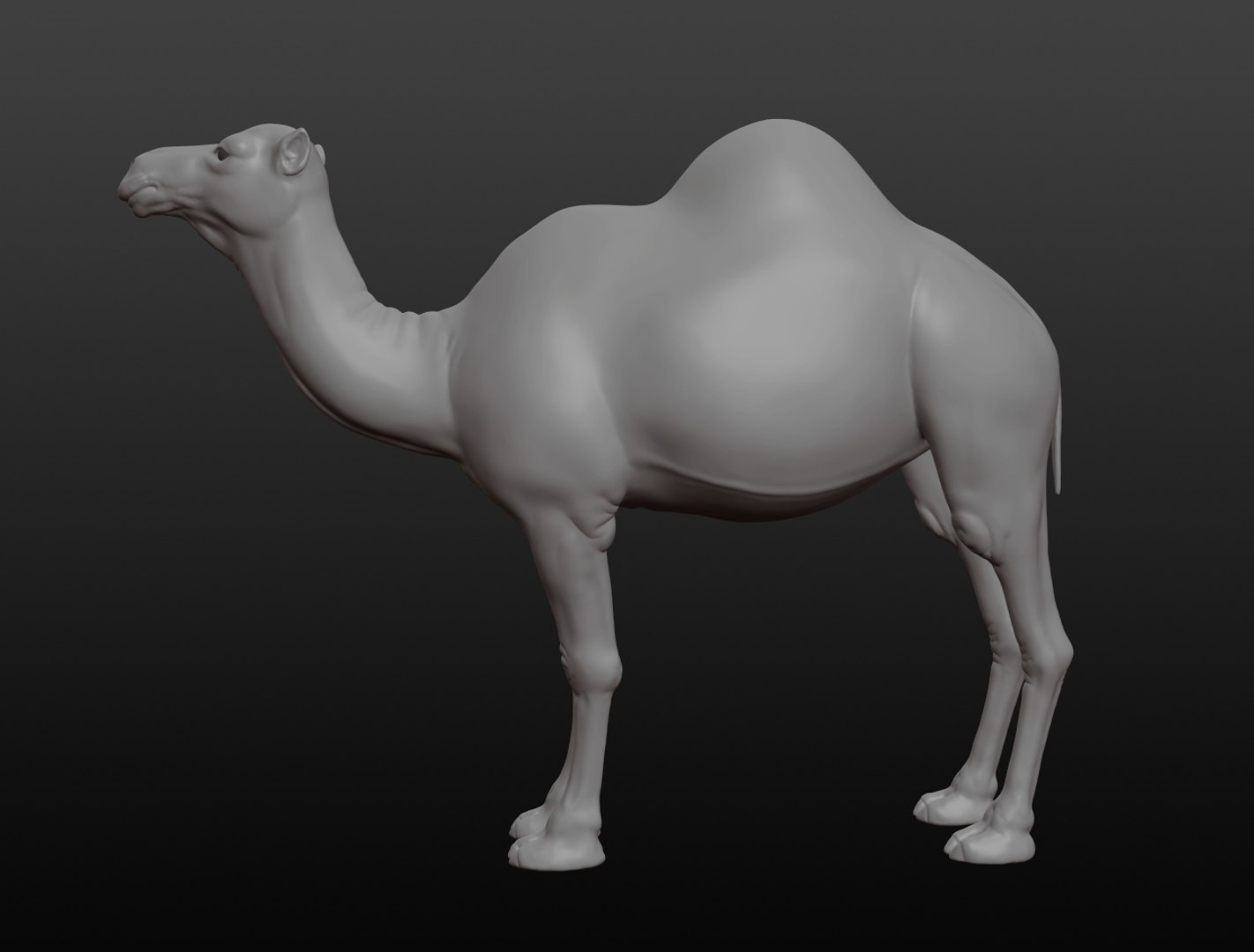 3D camel base mesh model https://p.turbosquid.com/ts-thumb/hC/WJI1mX/Kclq7uaL/camel004/jpg/1579403780/1920x1080/fit_q87/156774b4ed8f8816e5de268f6e4ea5b38af505bd/camel004.jpg