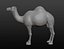 Maille de base camel