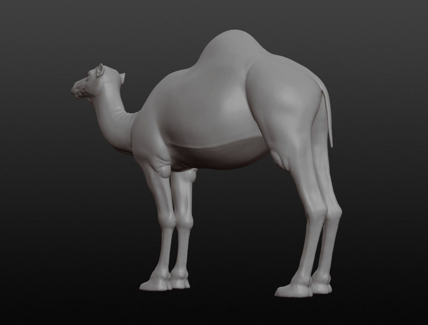 3D camel base mesh model https://p.turbosquid.com/ts-thumb/hC/WJI1mX/LVfGZrR8/camel010/jpg/1579403780/1920x1080/fit_q87/68ae3407d3adc8576541ffba0689d01e58f88026/camel010.jpg
