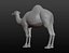 Maille de base camel