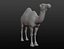 Maille de base camel