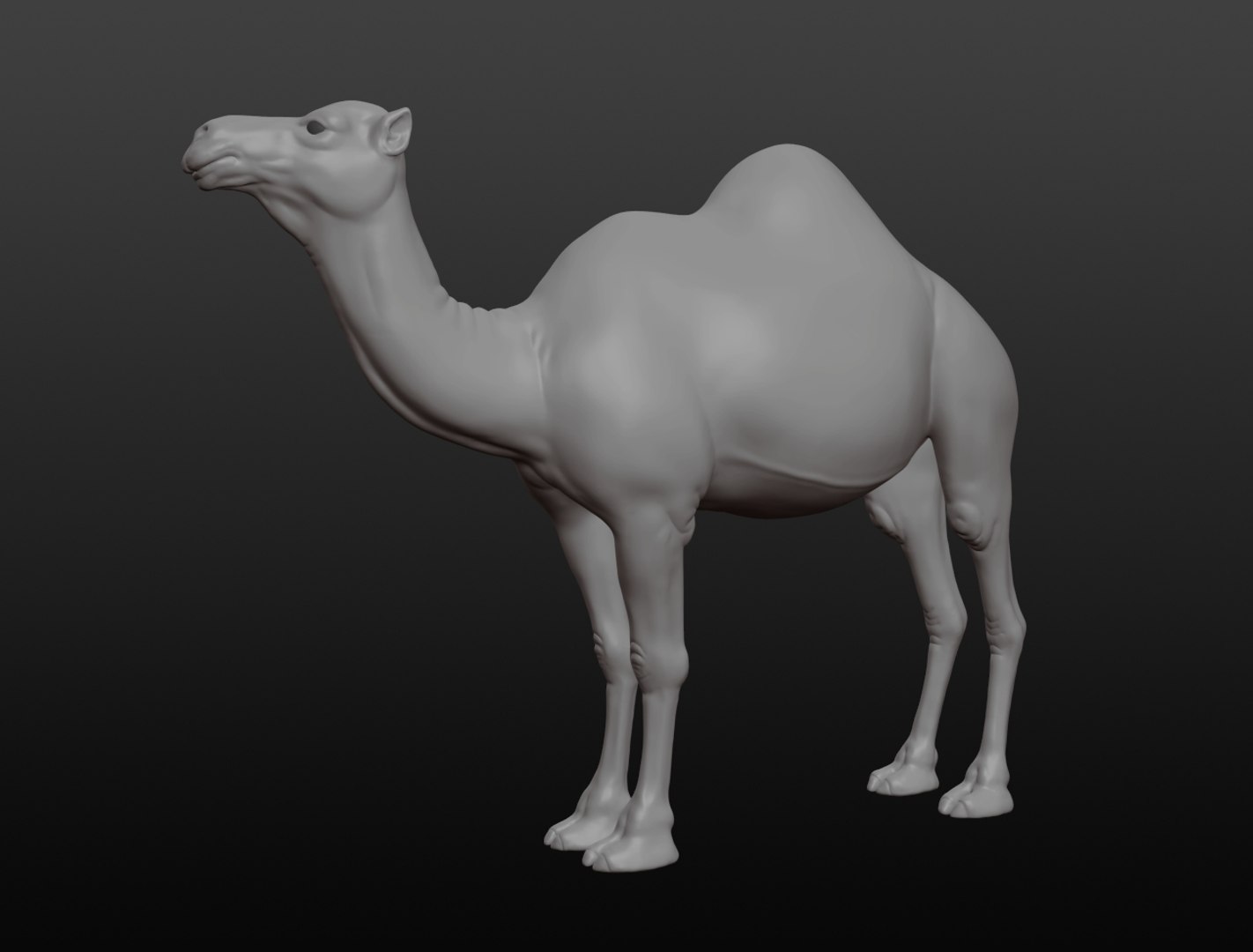 3D camel base mesh model https://p.turbosquid.com/ts-thumb/hC/WJI1mX/UIZV4yyV/camel002/jpg/1579403780/1920x1080/fit_q87/be72d7ebbad3a58173c75b32487b1705abfd9a59/camel002.jpg