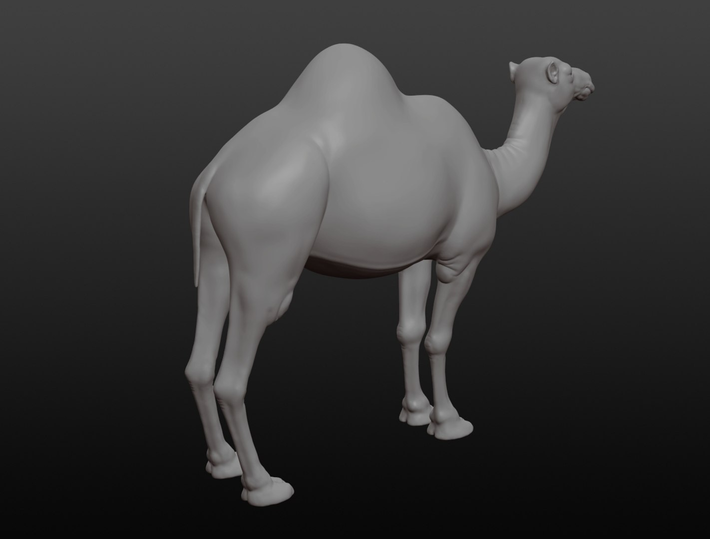 3D camel base mesh model https://p.turbosquid.com/ts-thumb/hC/WJI1mX/ZRRvKT8r/camel012/jpg/1579403780/1920x1080/fit_q87/9765f68d68f9f41dd46891fa8bb8a92d1be41f23/camel012.jpg