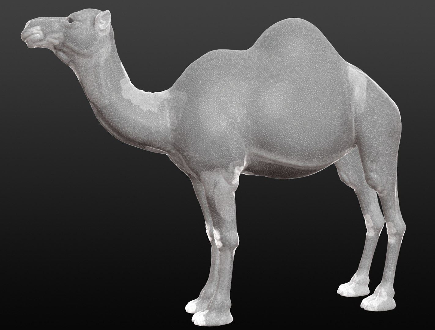 3D camel base mesh model https://p.turbosquid.com/ts-thumb/hC/WJI1mX/Zyt8G7lJ/camelwireframe003/jpg/1579403780/1920x1080/fit_q87/513e3e6e655b7db4508e96a473f0816e25ac9d46/camelwireframe003.jpg