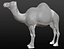 Maille de base camel