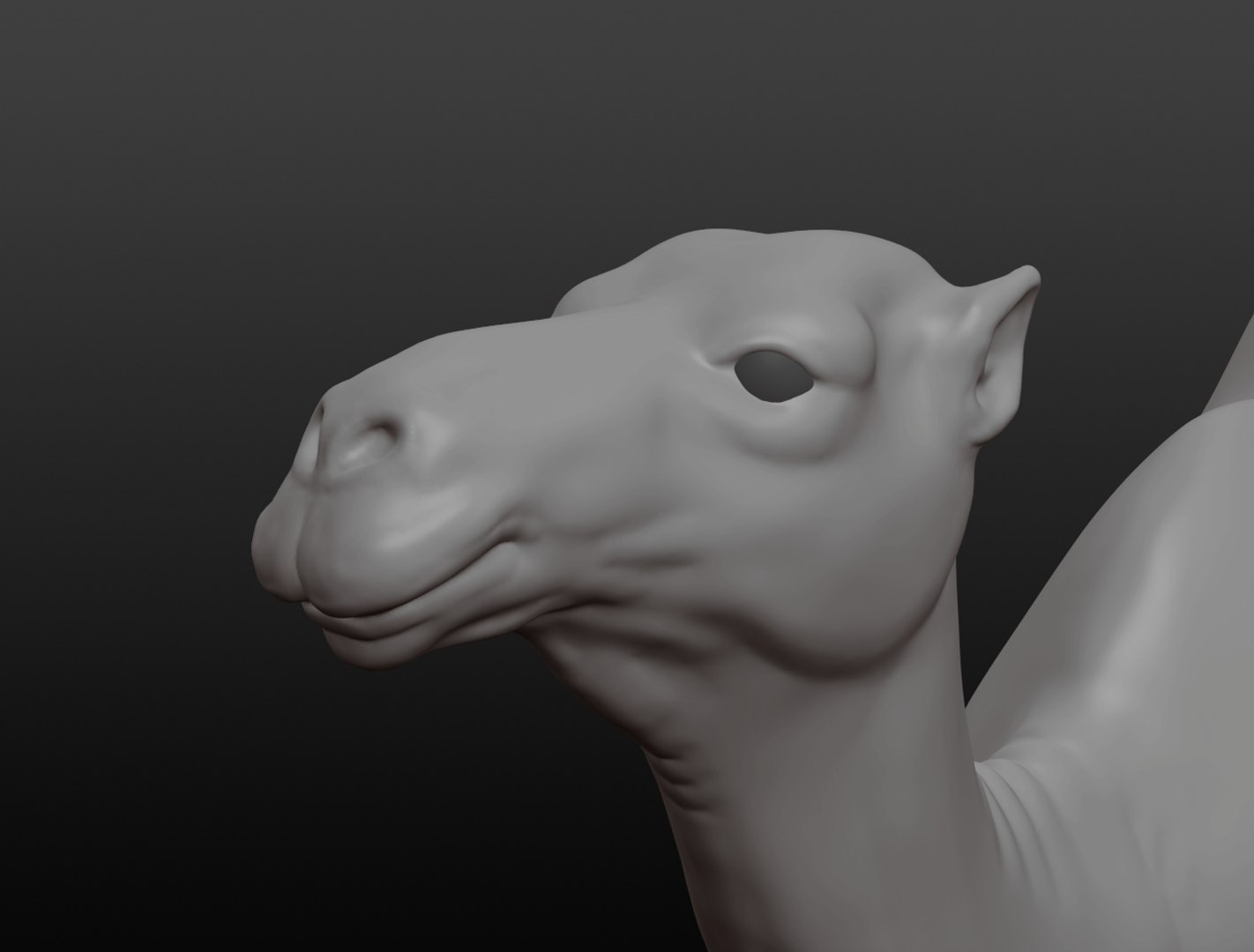 3D camel base mesh model https://p.turbosquid.com/ts-thumb/hC/WJI1mX/bP33EPsr/camel017/jpg/1579403780/1920x1080/fit_q87/a49f23654ae6a00b22460fb369eec932fa136e7e/camel017.jpg